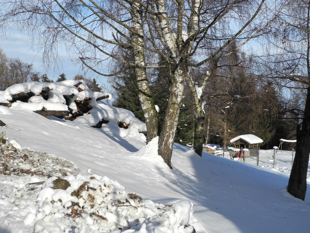 DSCN8671_JPG-1355669043