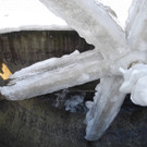 DSCN8626_JPG-1355669722