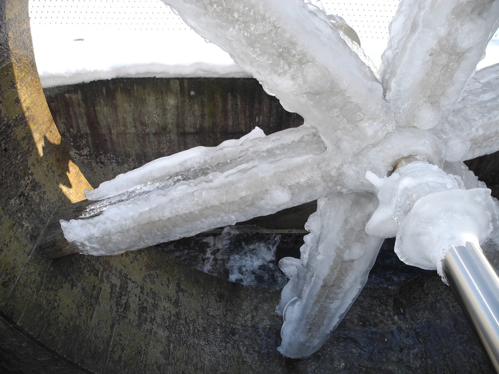 DSCN8626_JPG-1355669722