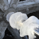 DSCN8636_JPG-1355669902