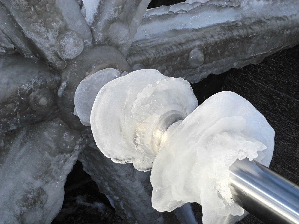 DSCN8636_JPG-1355669902