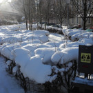 DSCN8638_JPG-1355669967