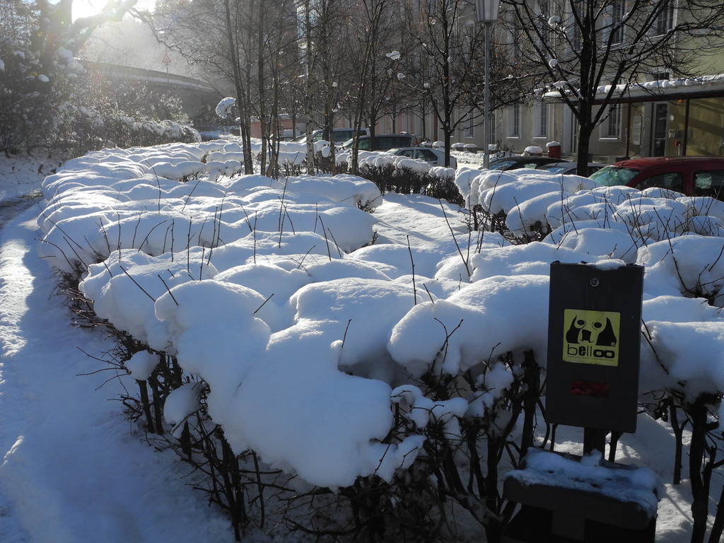 DSCN8638_JPG-1355669967