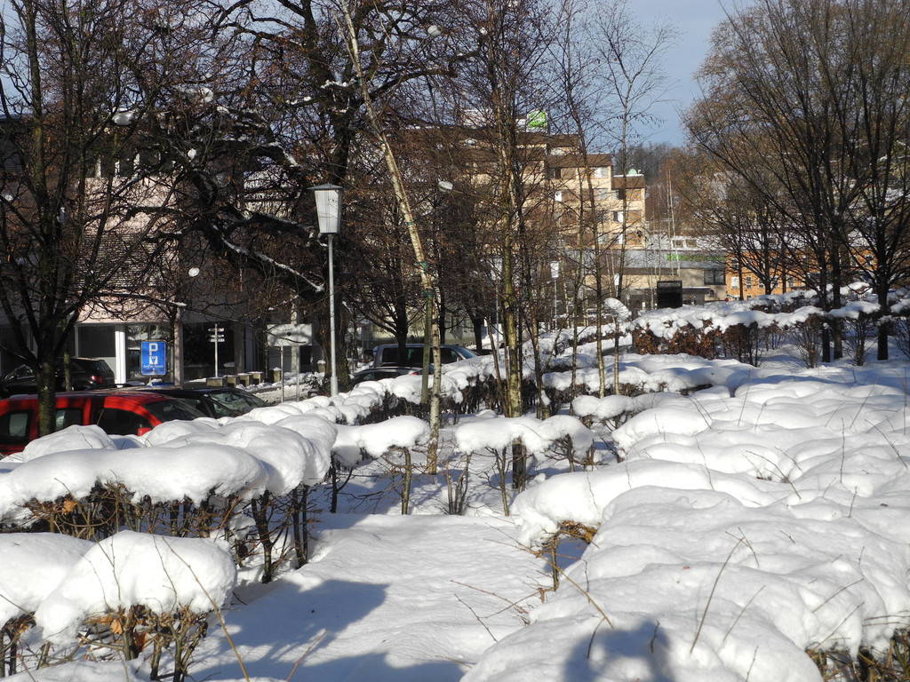 DSCN8639_JPG-1355669996