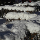 DSCN8640_JPG-1355670024