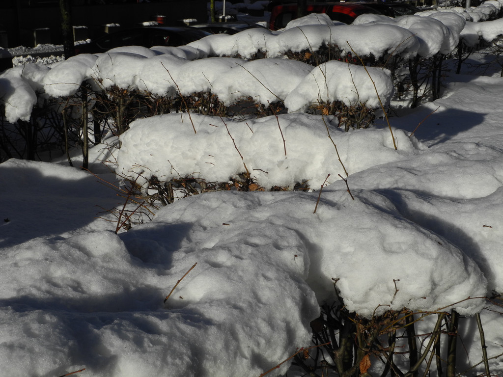 DSCN8640_JPG-1355670024