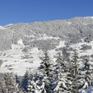 _c_ Gerhard Scopoli - Schnee Bartholom__berg - 159.jpg