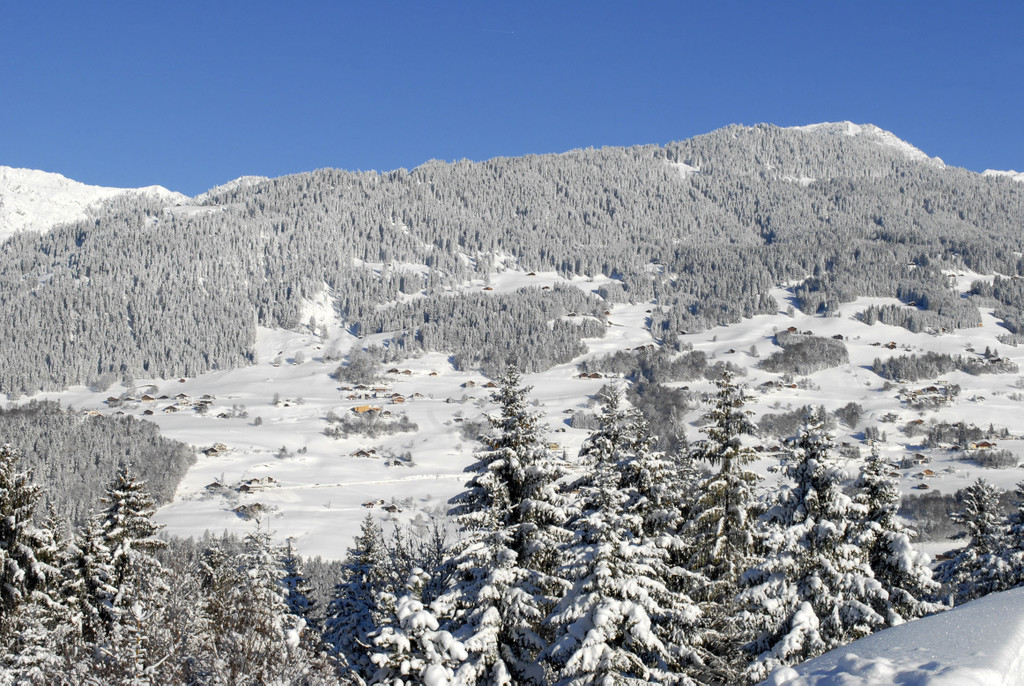 _c_ Gerhard Scopoli - Schnee Bartholom__berg - 159.jpg