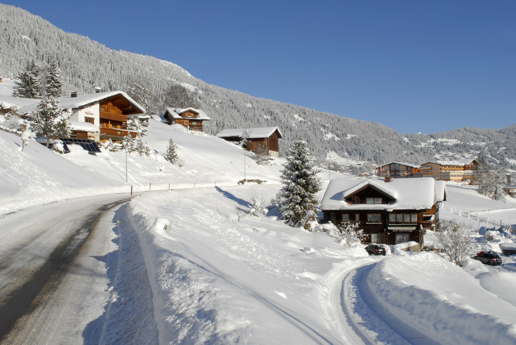 _c_ Gerhard Scopoli - Schnee Bartholom__berg - 188.jpg