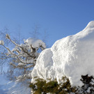 _c_ Gerhard Scopoli - Schnee Bartholom__berg - 206.jpg