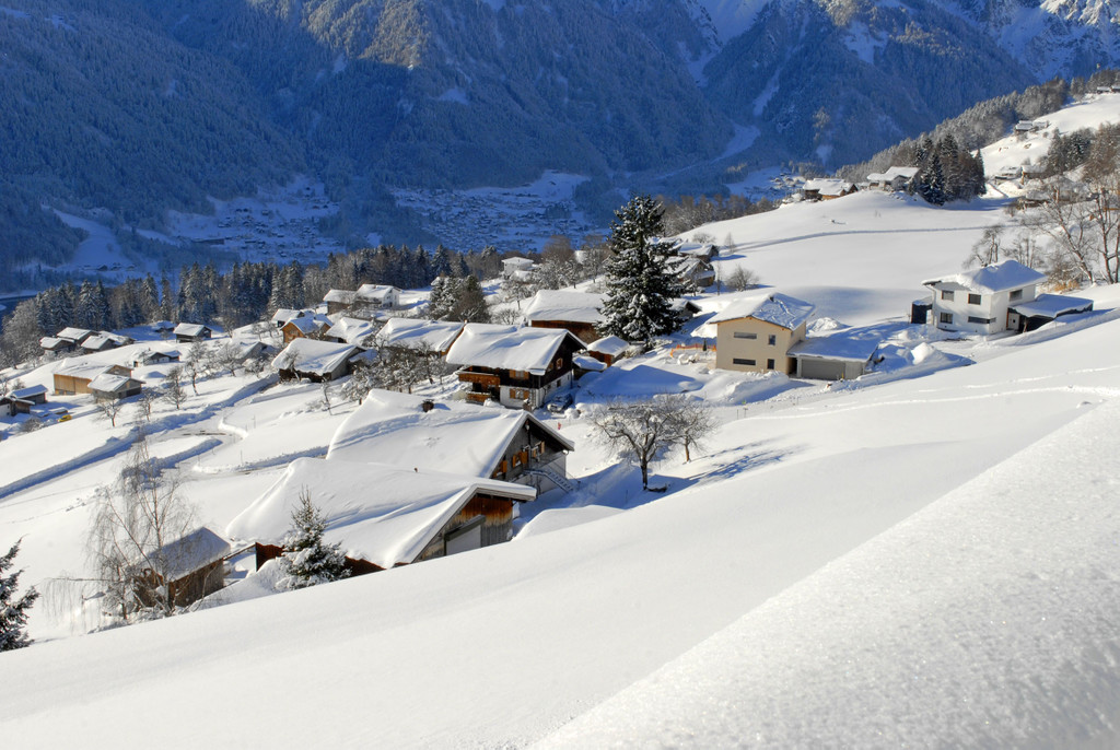 _c_ Gerhard Scopoli - Schnee Bartholom__berg - 289.jpg