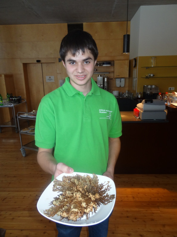 DSC01614_JPG-1355672205