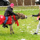 Markt Gai__au 16-12-2012 72_jpg-1355675018