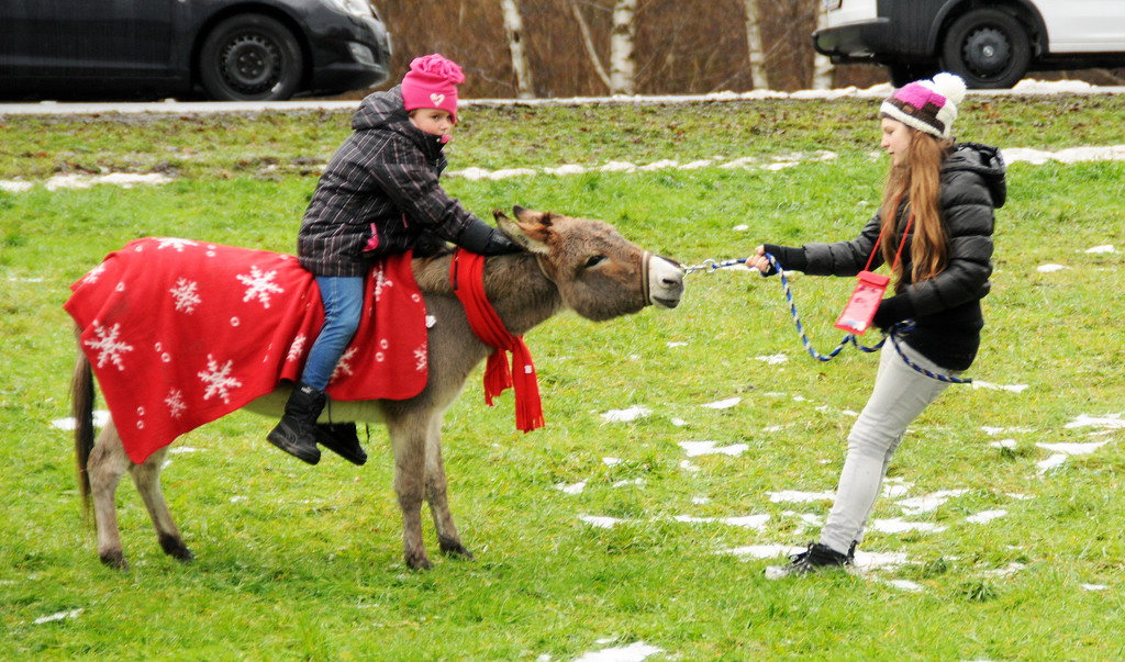 Markt Gai__au 16-12-2012 72_jpg-1355675018
