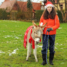 Markt Gai__au 16-12-2012 58_jpg-1355674987