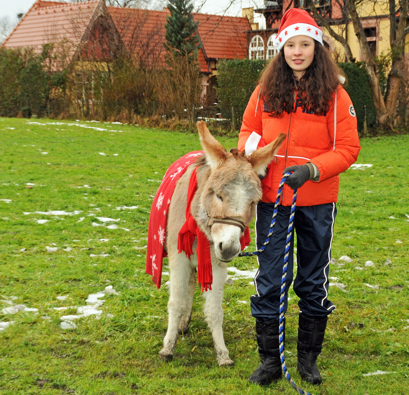 Markt Gai__au 16-12-2012 58_jpg-1355674987
