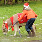 Markt Gai__au 16-12-2012 70_jpg-1355675007