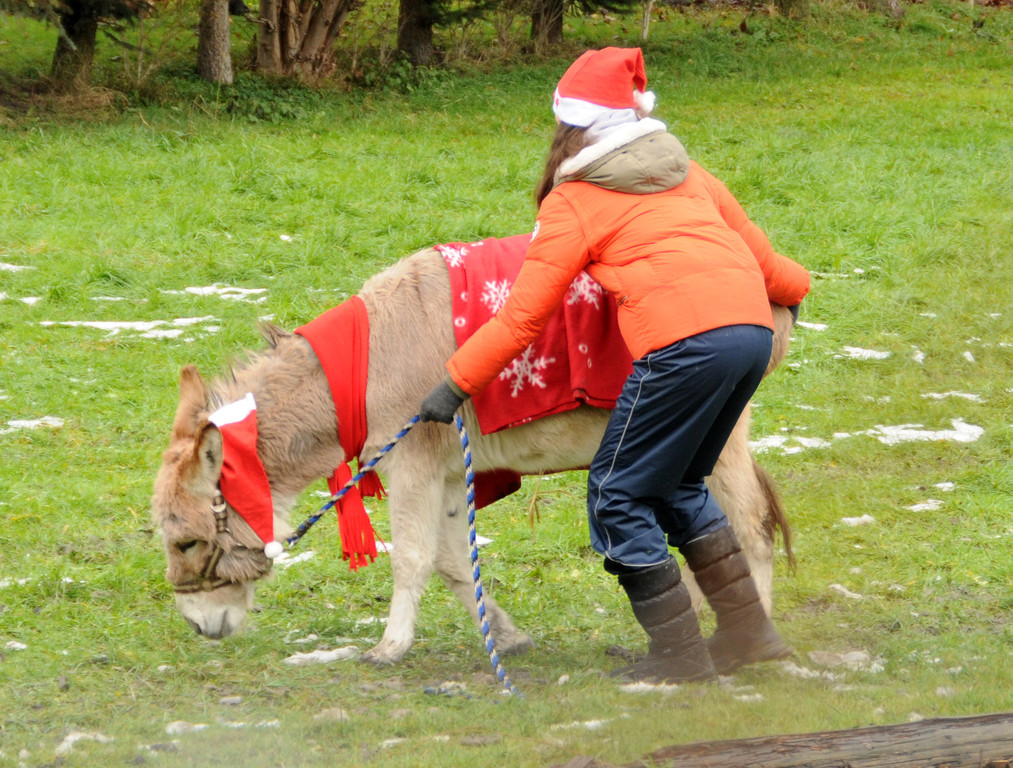 Markt Gai__au 16-12-2012 70_jpg-1355675007