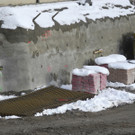 DSCN8622_JPG-1355676060