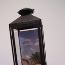 DSC04452_JPG-1355687585