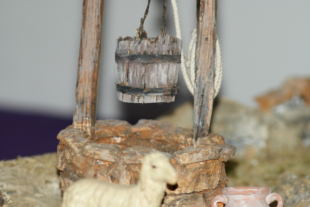 DSC04455_JPG-1355687601