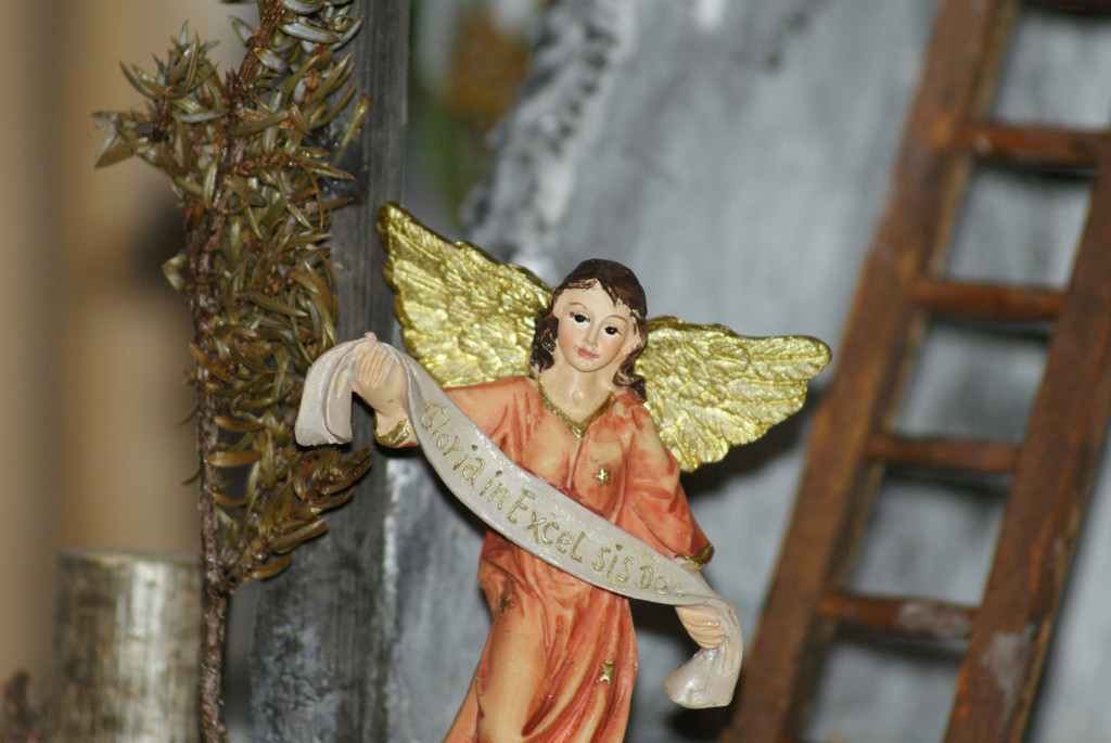 DSC04456_JPG-1355687608