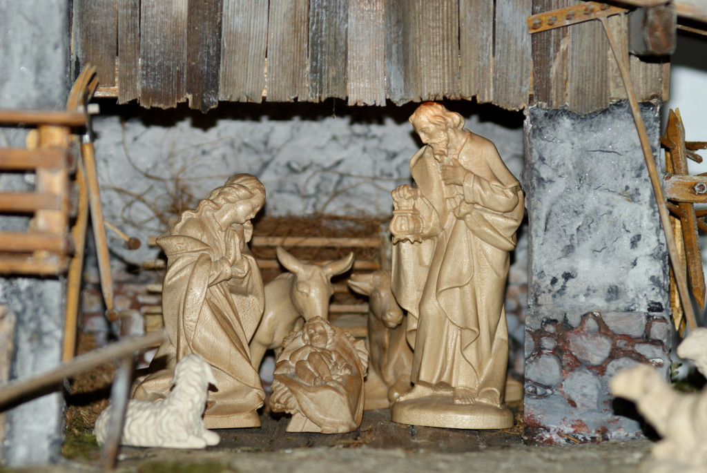 DSC04459_JPG-1355687616