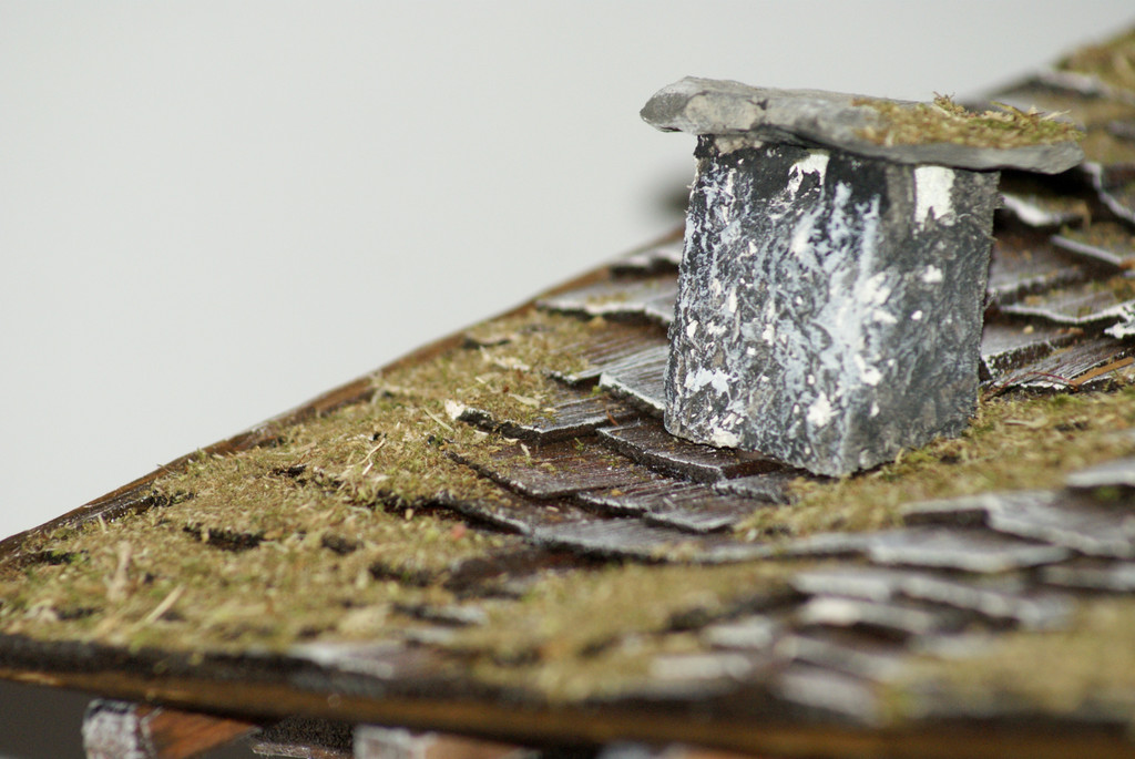 DSC04462_JPG-1355687637