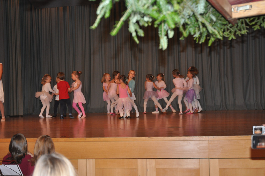 DSC_0018_JPG-1355689876