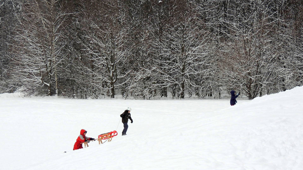 DSCN1219_JPG-1355696304