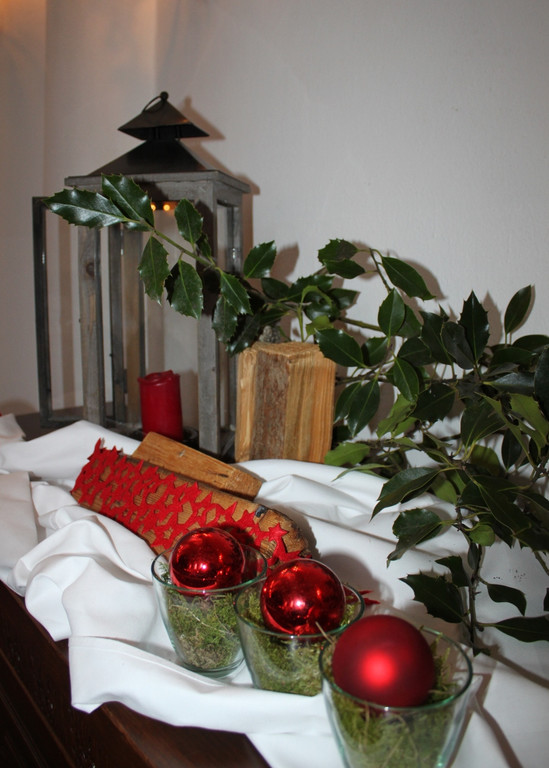 Schloss Hofener Advent Symbolfotos 2011 _11__jpg-1355696929