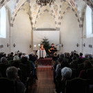 Schloss Hofener Advent Symbolfotos 2011 _10__jpg-1355696925
