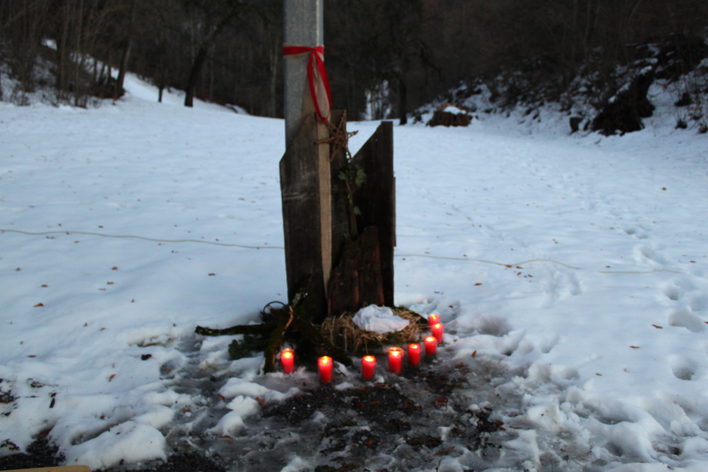 Adventsingen 2012_mkathan _9__jpg-1355729717