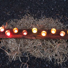Adventsingen 2012_mkathan _11__jpg-1355729803
