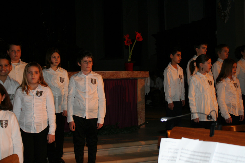 IMG_0384_JPG-1355747864