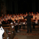 IMG_0433_JPG-1355748244