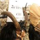 16122012kaprunde01001aktivnews_004.JPG