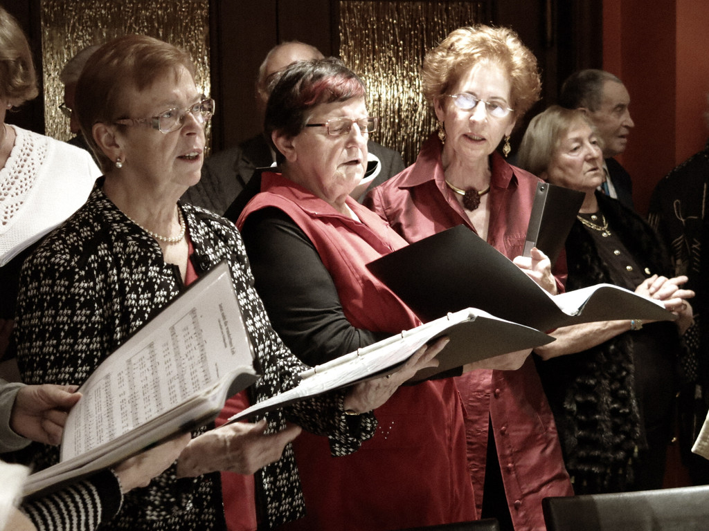 Seniorenverein 149_JPG-1355763491