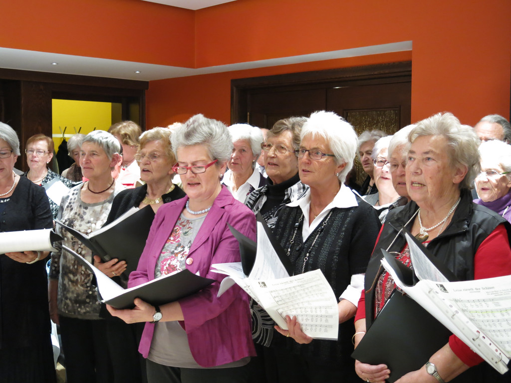 Seniorenverein 116_JPG-1355764125