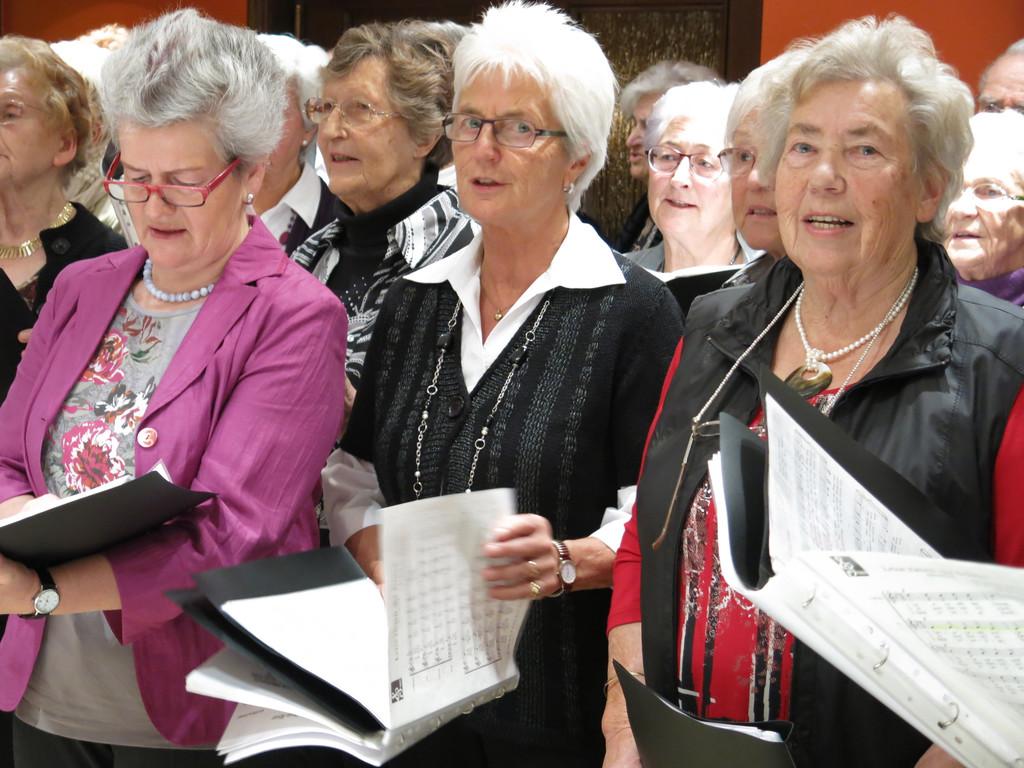 Seniorenverein 114_JPG-1355764339