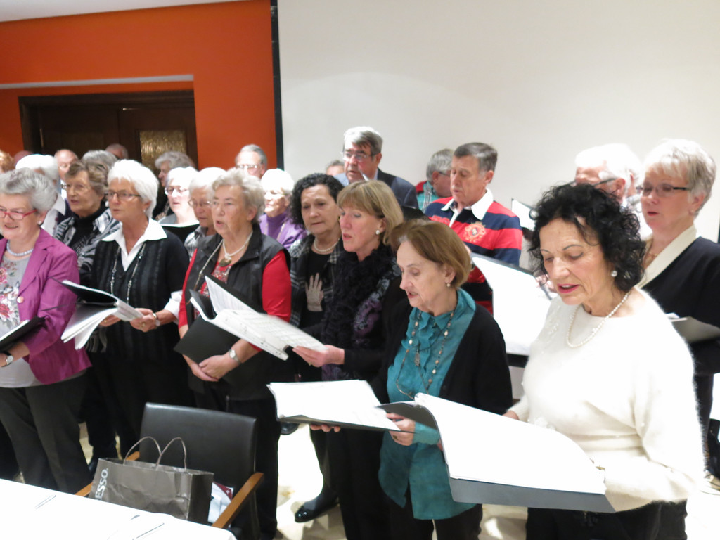 Seniorenverein 120_JPG-1355764552