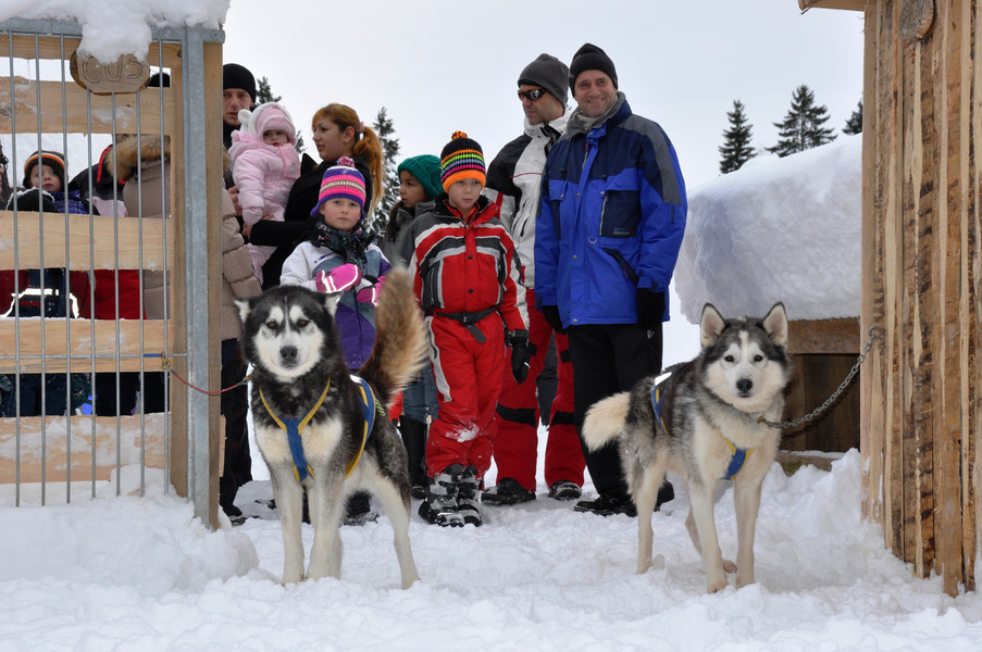Wintercamp-Gro__er Andrang beim Husky-Schlittenfahren.jpg