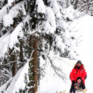 Wintertaxi der besonderen Art.jpg
