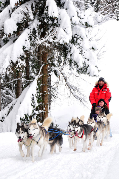 Wintertaxi der besonderen Art.jpg