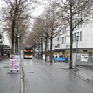 DSCN8772_JPG-1355765547