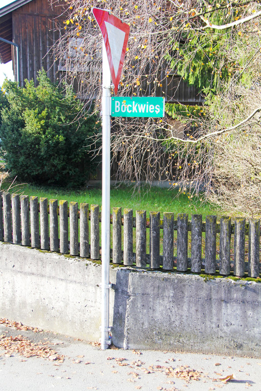 B__ckwies1_JPG-1355775824