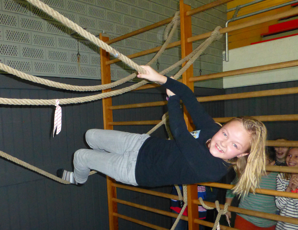 VMS5b_jpg-1355783781