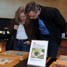 DSCN6737_JPG-1355785575