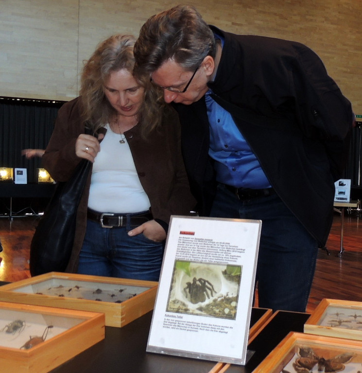 DSCN6737_JPG-1355785575