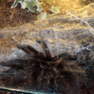 DSCN6750_JPG-1355785597